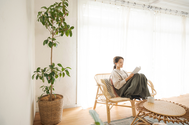 グリーンとアートのアクセント